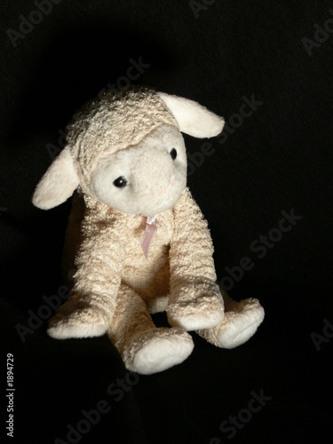 sad sheep