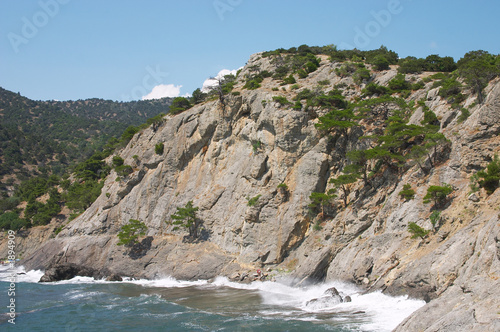 cape surf