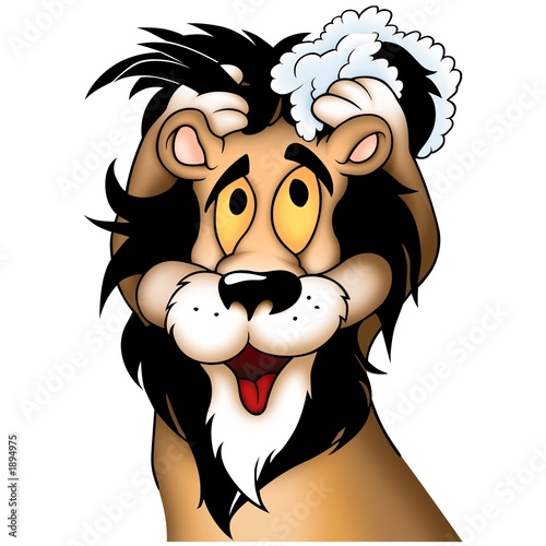 lion 01 washing