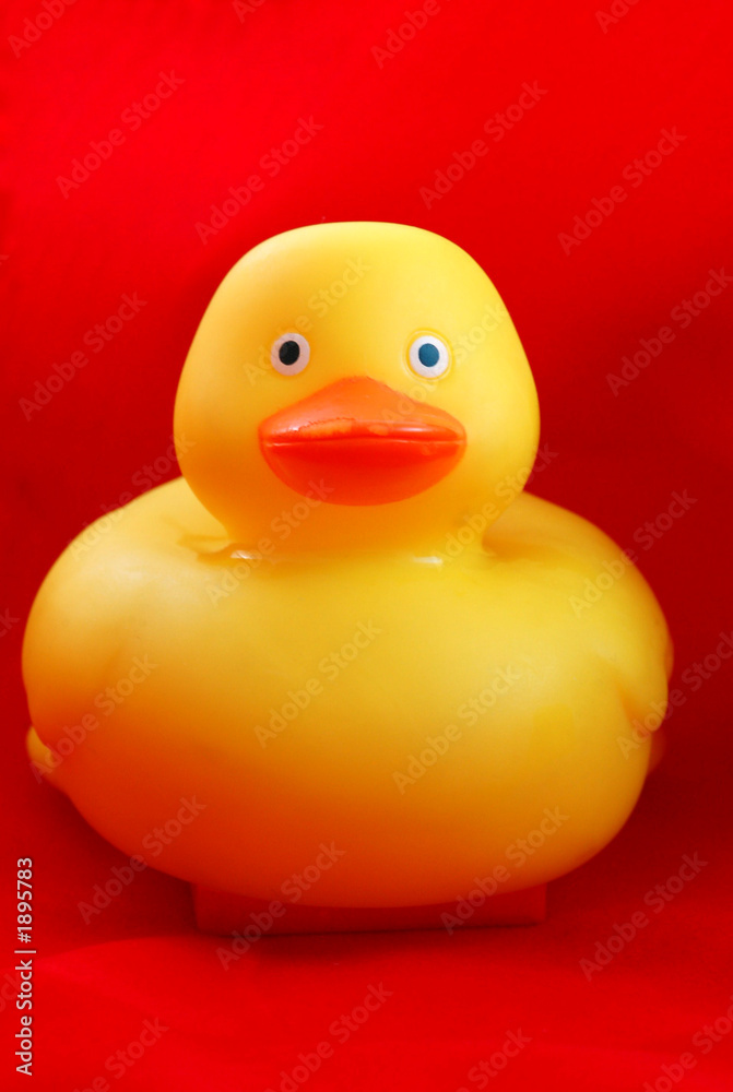 rubber duck rubber duck