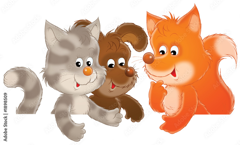 Obraz premium funny animals