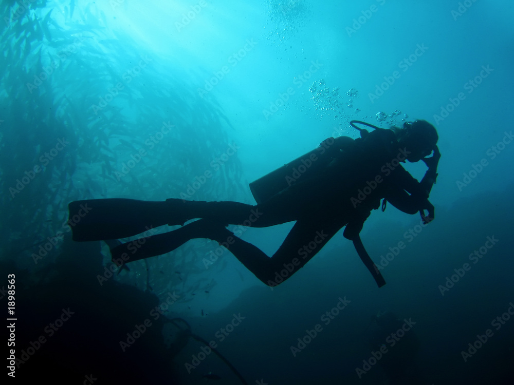 divers silhouette