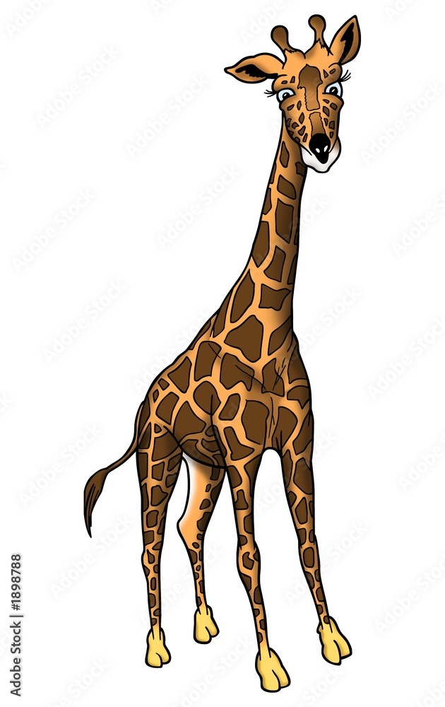 Obraz premium giraffe