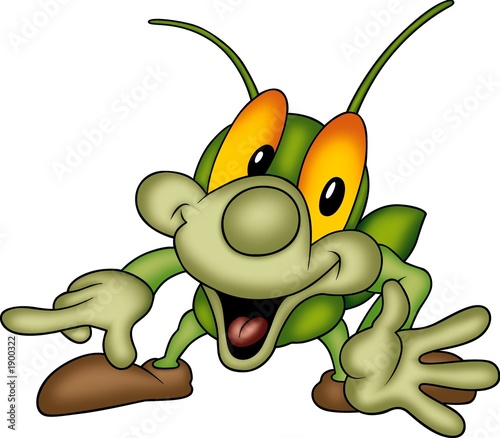 beetle 13