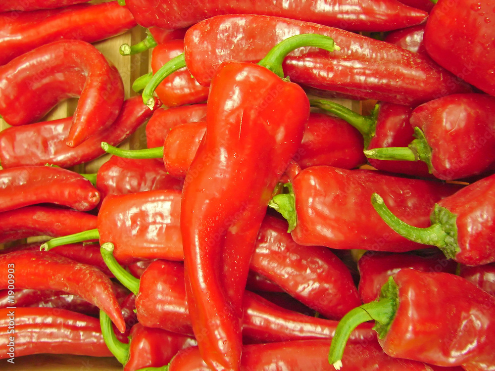 red hot chili pepper