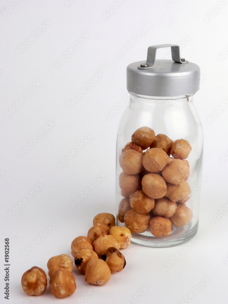 hazel nut hazel nut