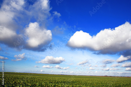paysage