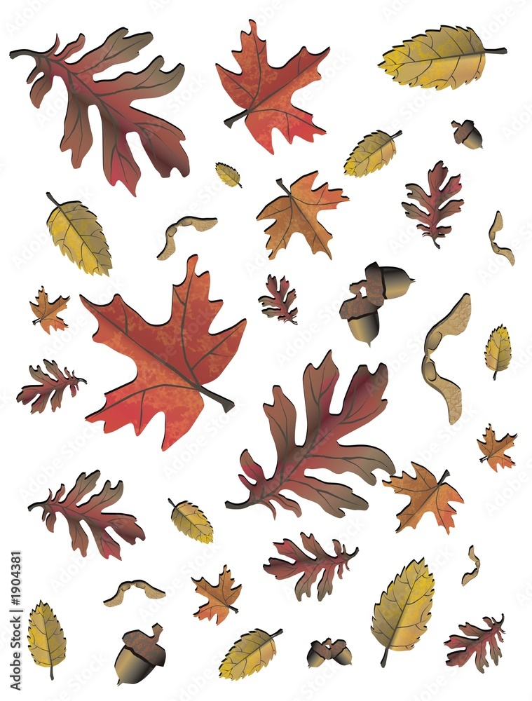 Obraz premium autumn leaves background