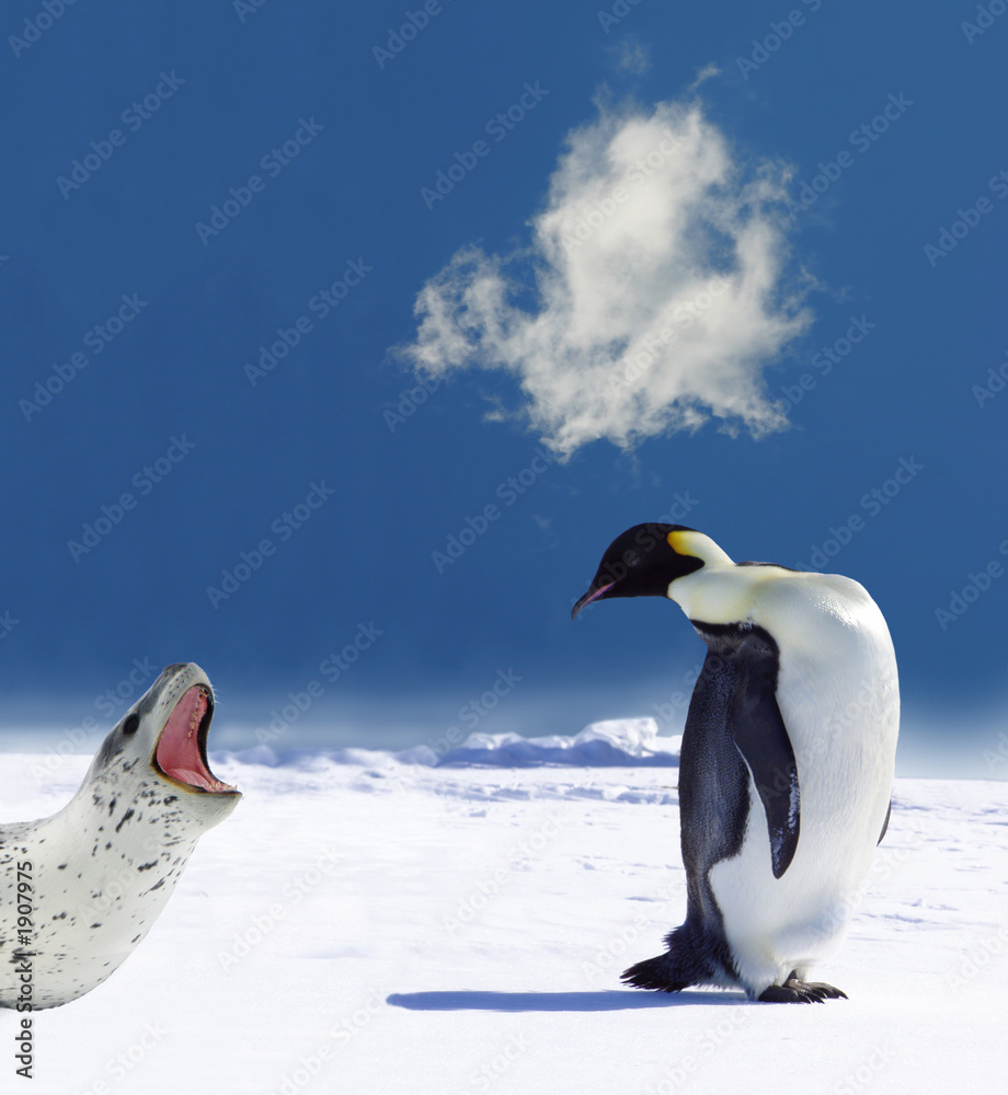 Fototapeta premium penguin in danger