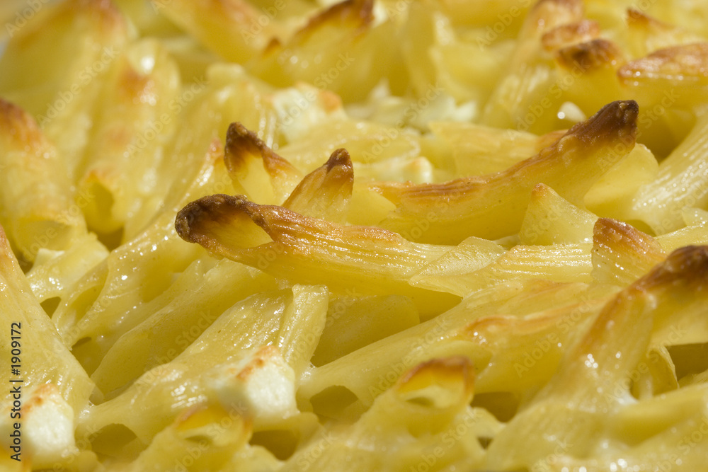 macaroni and cheese macaroni and cheese