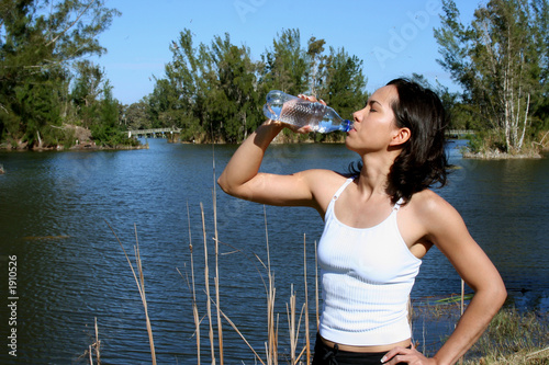 Bilde på lerret drinking water