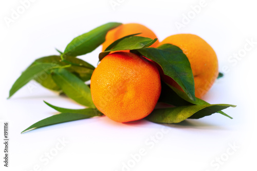 a pile of tangerine branches