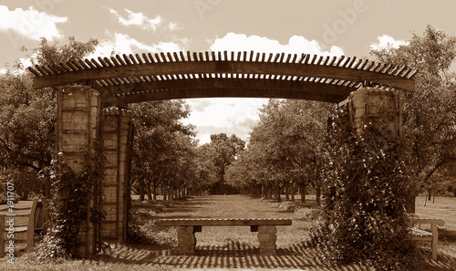 pergola in sepia