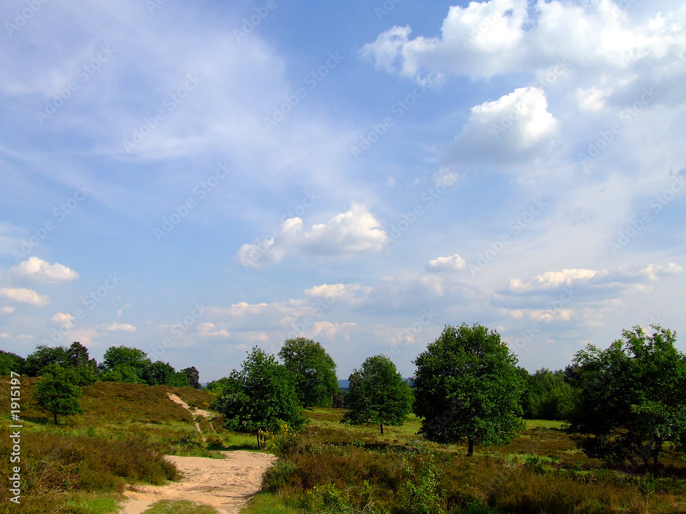 wahner heide