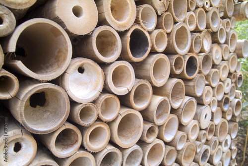 Photo heap of bamboo cuts