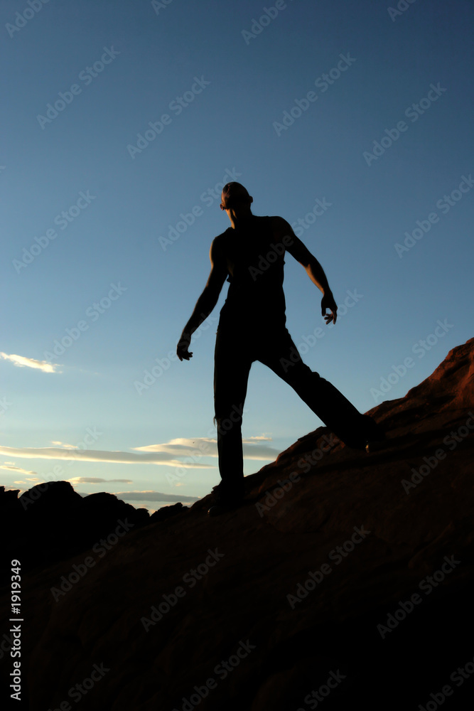 Fototapeta premium silhouette