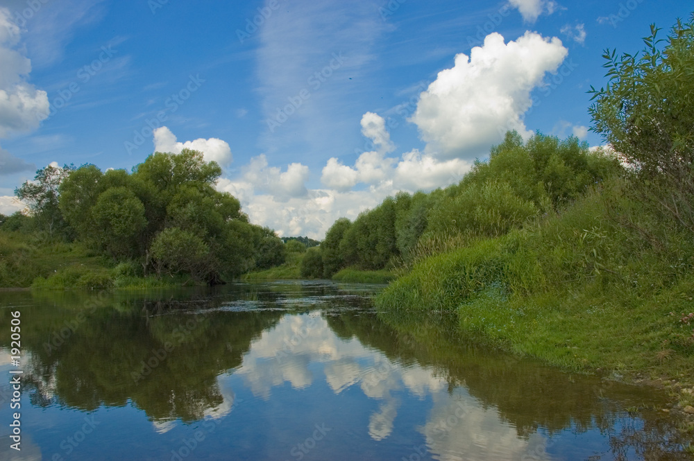 summer landscape