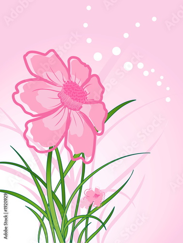 floral design