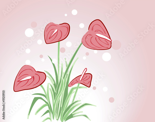 floral design