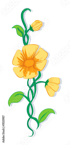 floral design