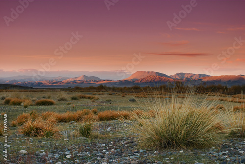 mongolian wilderness