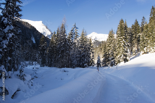 winterwanderweg3