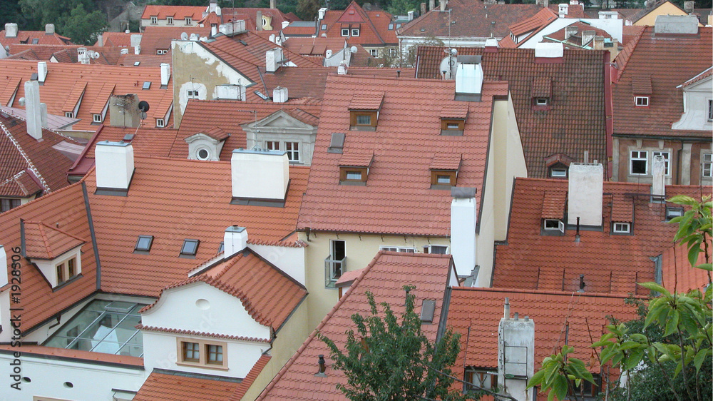 house roofs.