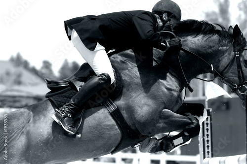 equestrian jumping & action (black & white)