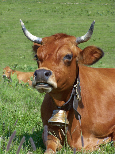 vach 100_1640 photo