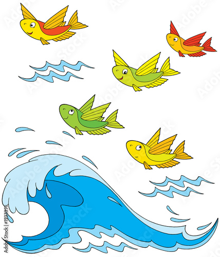 flying fish