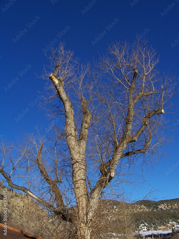 stock photo of colorado winter landscape