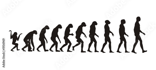 Canvas-taulu human evolution