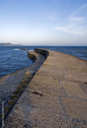 england dorset lyme regis harbour jurassic coast t