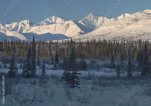 snowy peaks of alaska range