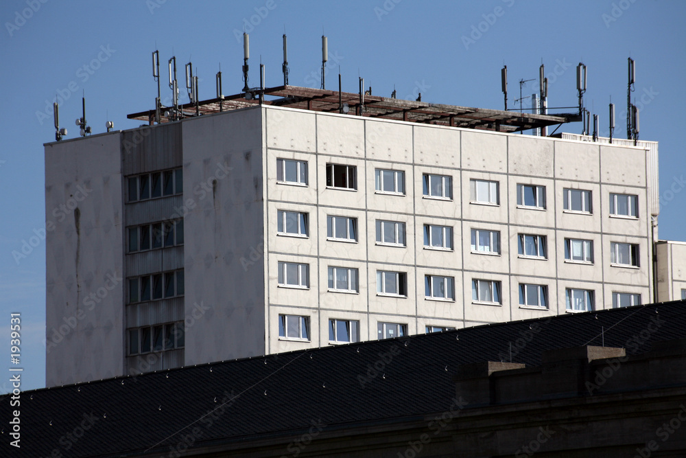 Fototapeta premium antennenwald