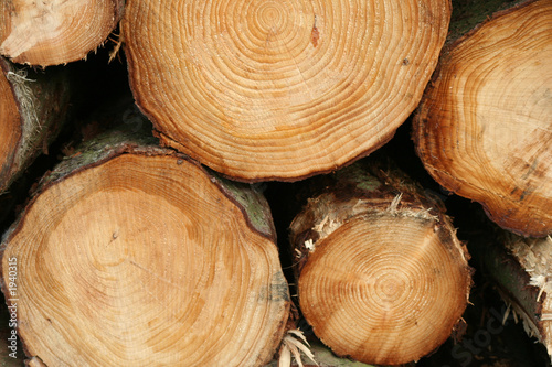 stacked timber
