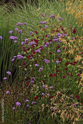 prairy garden