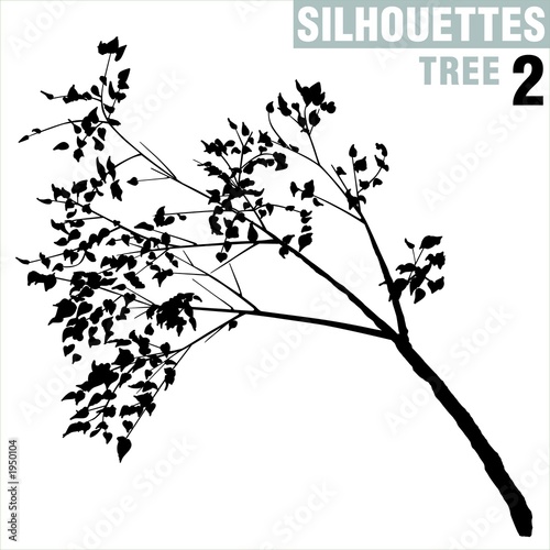 tree silhouette 02