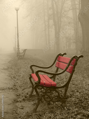 red bench in the fog