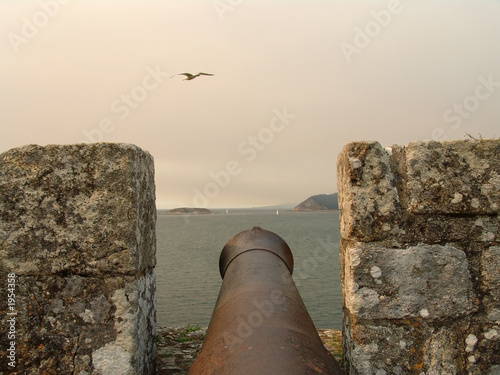 cannon in a fortress