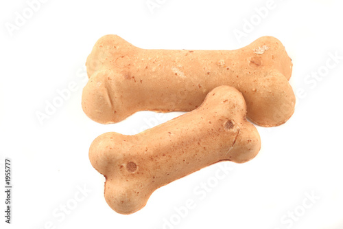 dog bones
