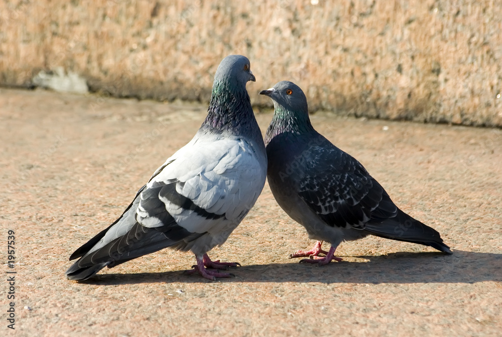 Obraz premium mute dialogue