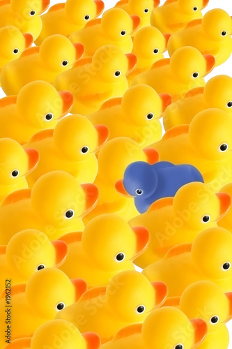 duck with ohter idea