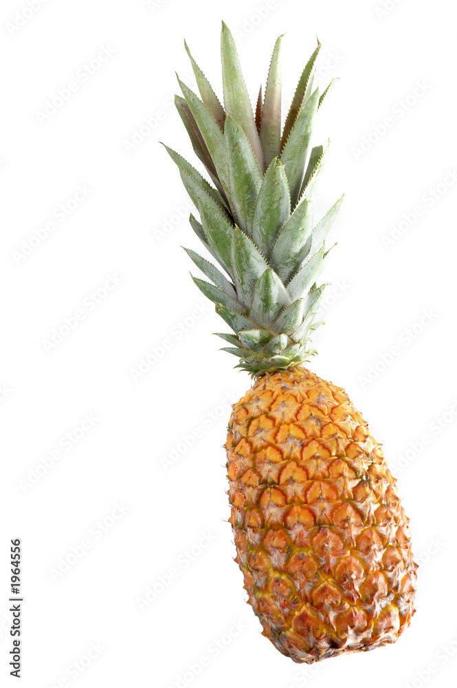Obraz premium pineapple