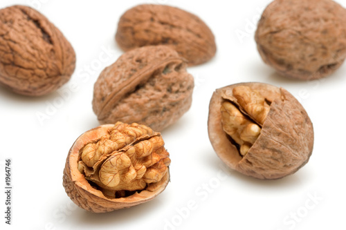 walnuts against white background
