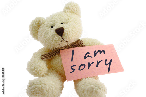 teddy - i am sorry