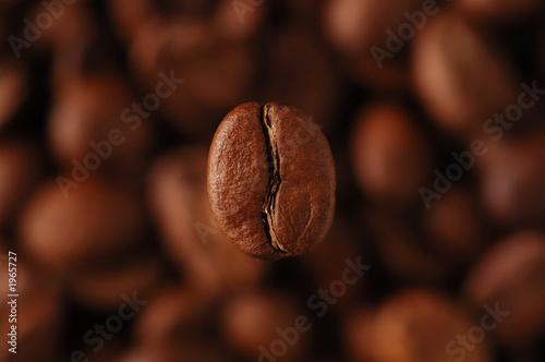 coffee-bean #2