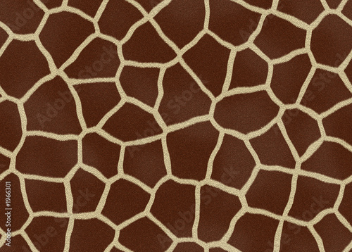 giraffe fell fur