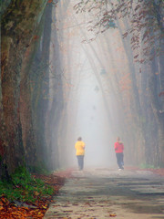 Sierkussen Joggen Stel joggend door lange laan  © .shock