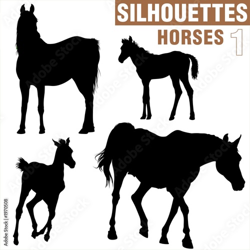 Fototapeta Naklejka Na Ścianę i Meble -  horses silhouettes 1